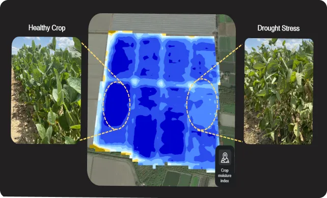 Precision Irrigation Application